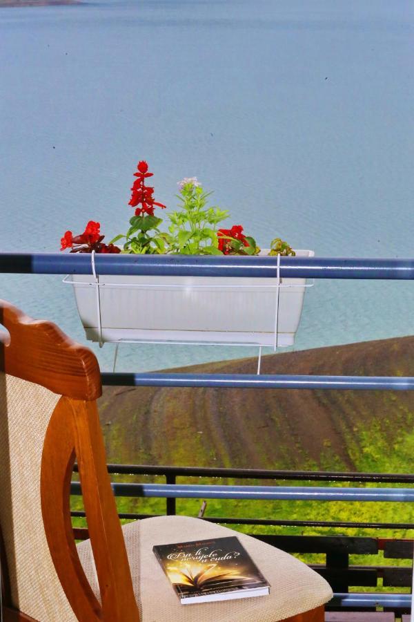 Tara Lake Apartments Jevtici Екстер'єр фото